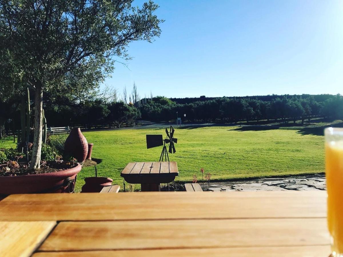 Villa Olive Grove Guest Farm Beaufort West Exterior foto