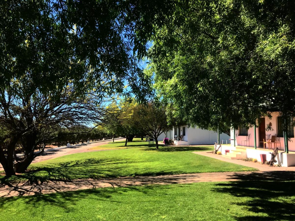 Villa Olive Grove Guest Farm Beaufort West Exterior foto