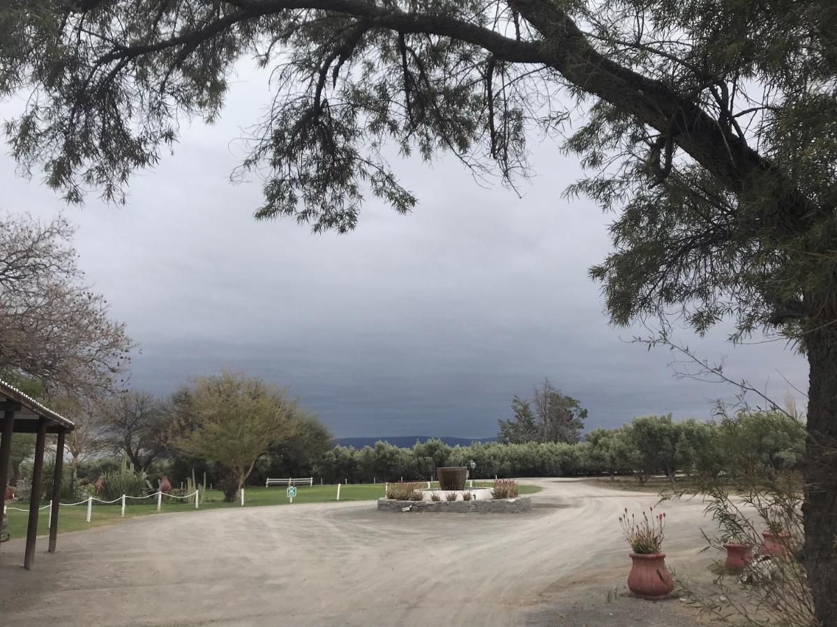 Villa Olive Grove Guest Farm Beaufort West Exterior foto