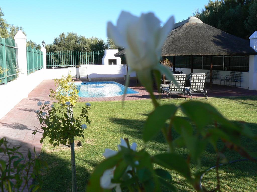 Villa Olive Grove Guest Farm Beaufort West Habitación foto