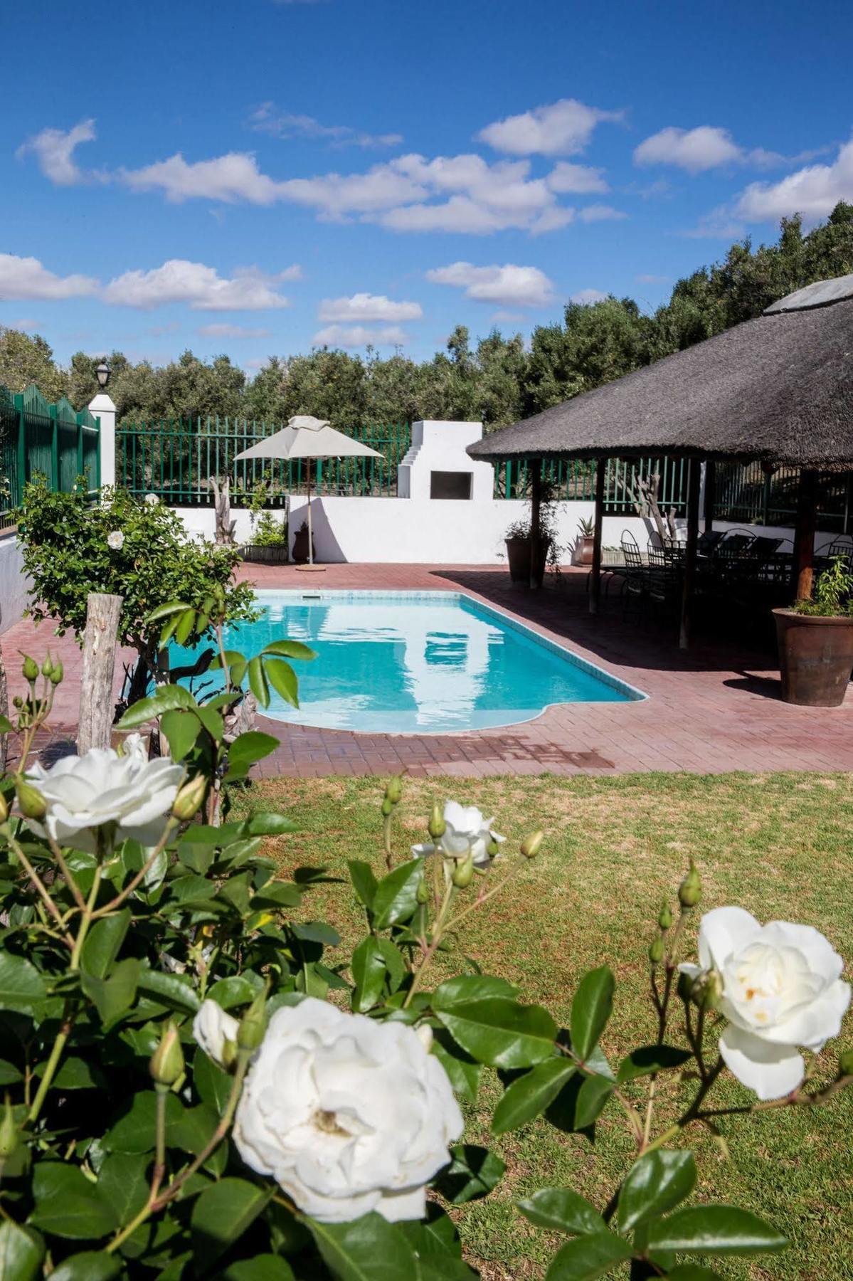 Villa Olive Grove Guest Farm Beaufort West Exterior foto